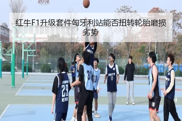 红牛F1升级套件匈牙利站能否扭转轮胎磨损劣势